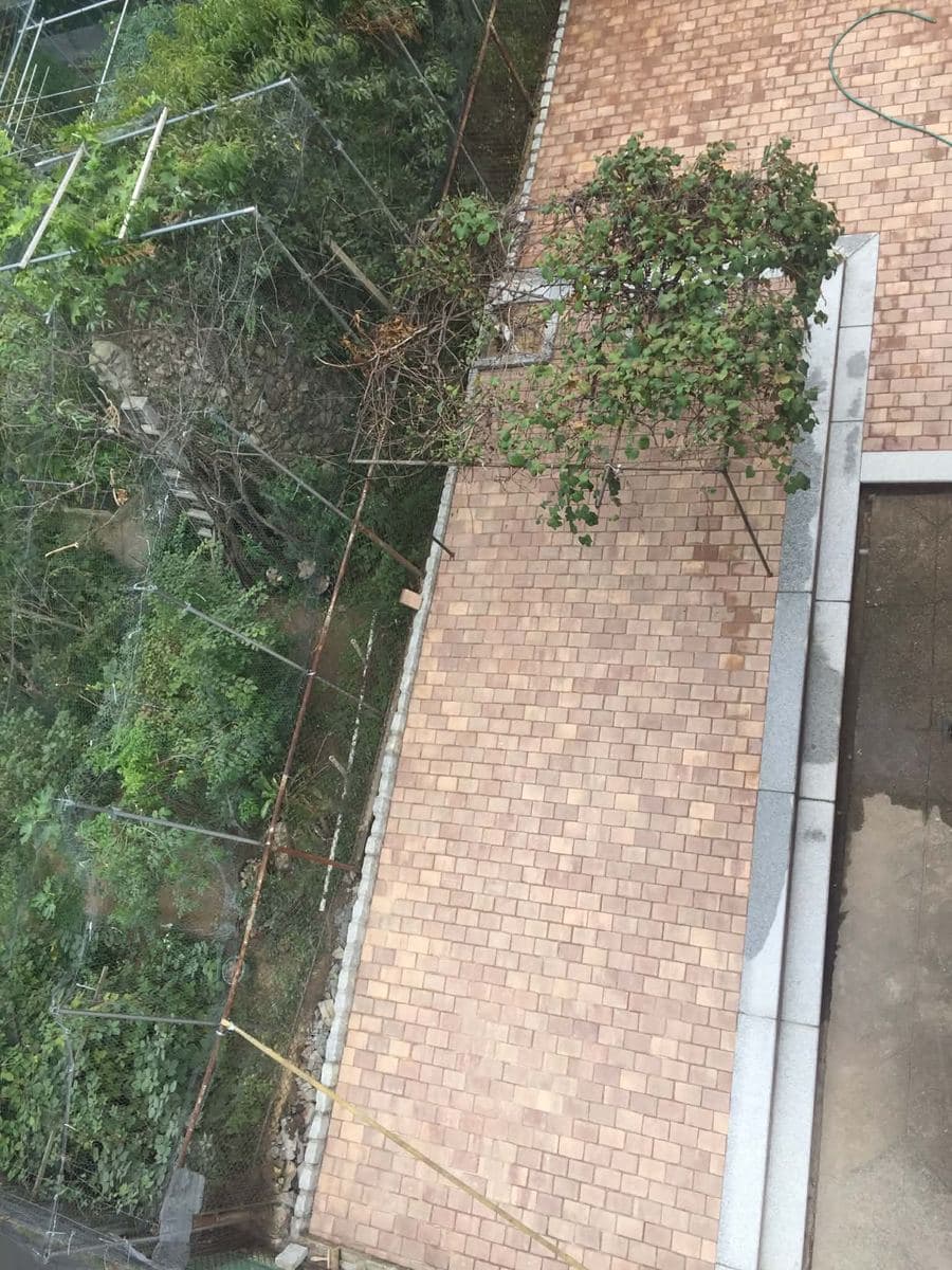 Overhead view of a long paver walkway beside a building