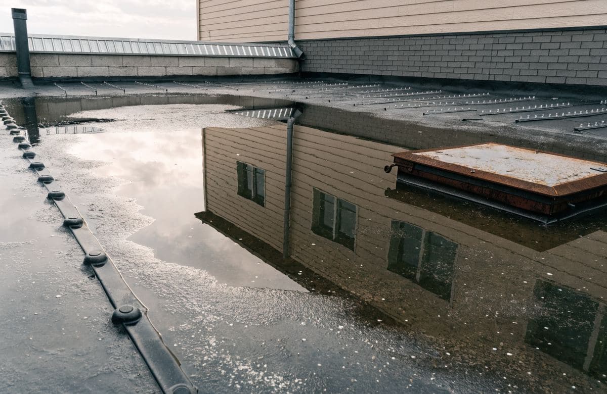 Illustrative flat roof with a large puddle of standing ponding water